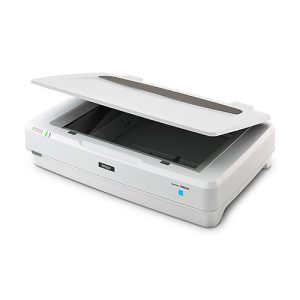 Epson Expression 13000XL Large Format Flatbed/Film Scanner